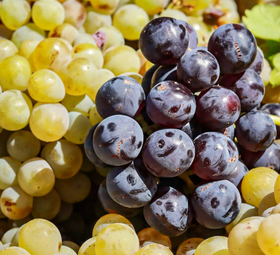 من أجل صحة جيدة بعد الستين .. 9 أطباق على طاولة طعامك